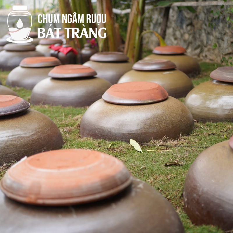 Chum sành ngâm ủ rượu