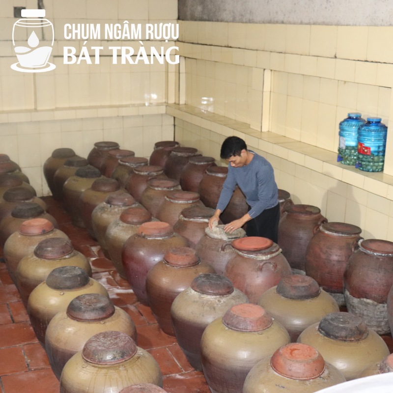 Chum sành ngâm ủ rượu