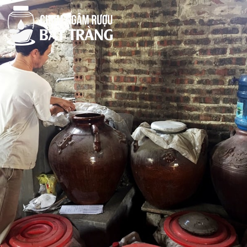 Chum sành ngâm ủ rượu