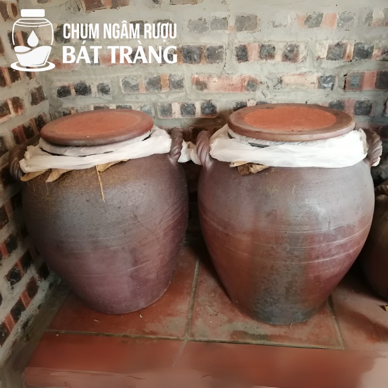 Chum rượu hạ thổ