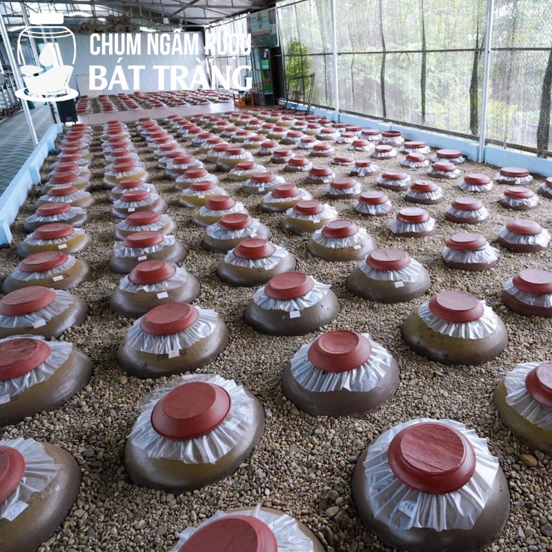 Hạ thổ chum rượu