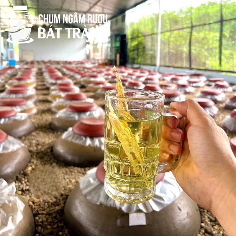 Hạ thổ chum rượu